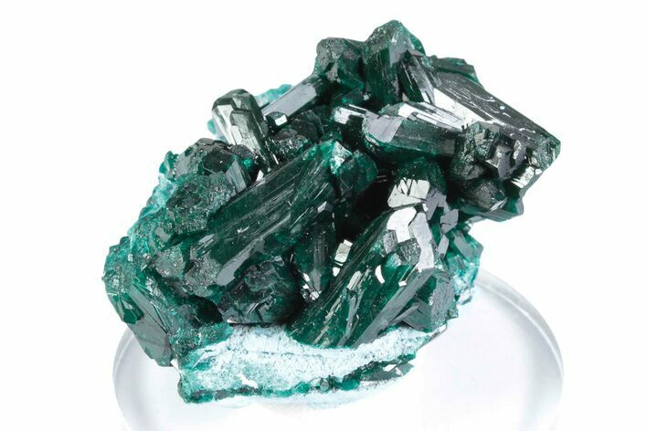 Stunning Dioptase Crystal Cluster on Plancheite - Sanda, Congo #379996